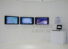 2006 񿣳 