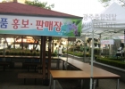 광주 북구청 봄꽃박람…